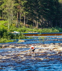 20120706-img 8773