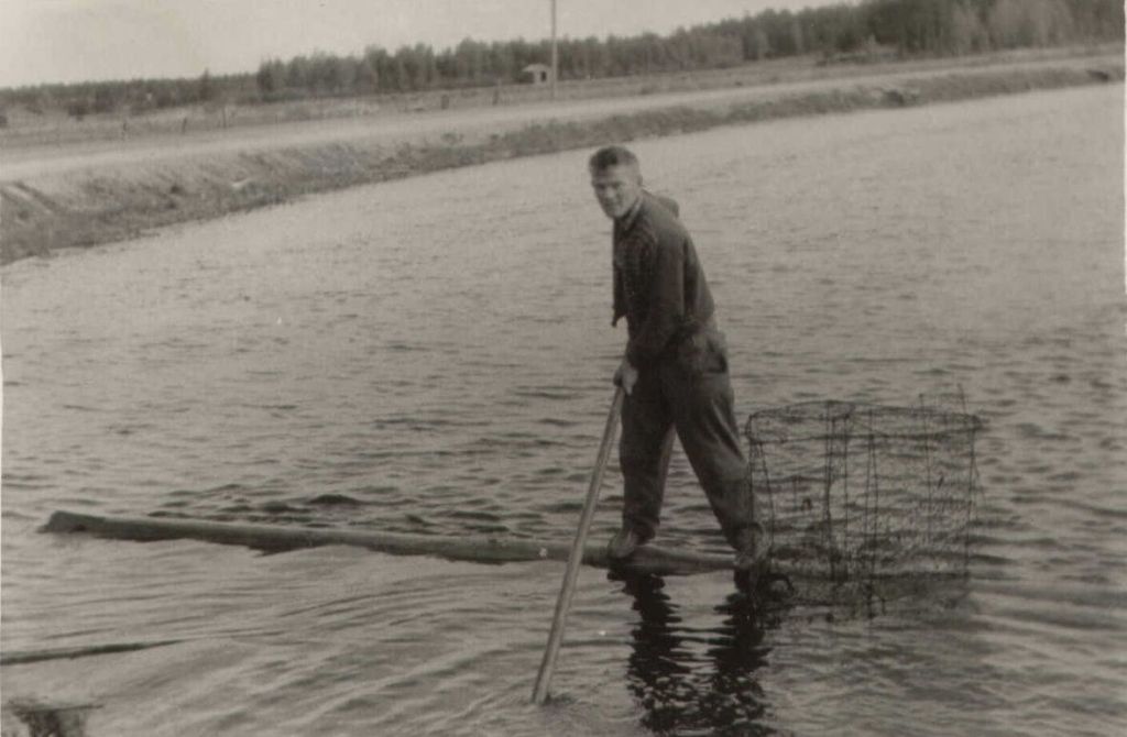 P Kniivilä katiskalla